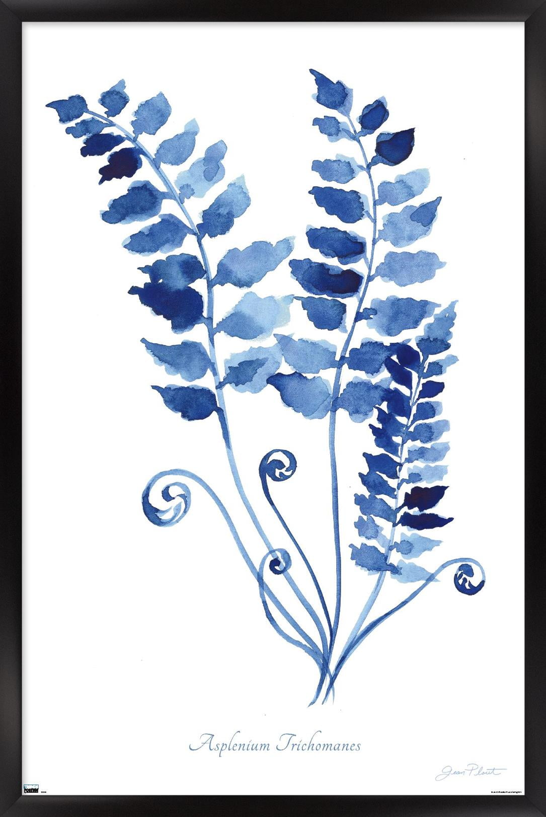 Jean Plout - Indigo Botanical Asplenium Trichomanes Wall Poster, 22.375" x 34" Framed