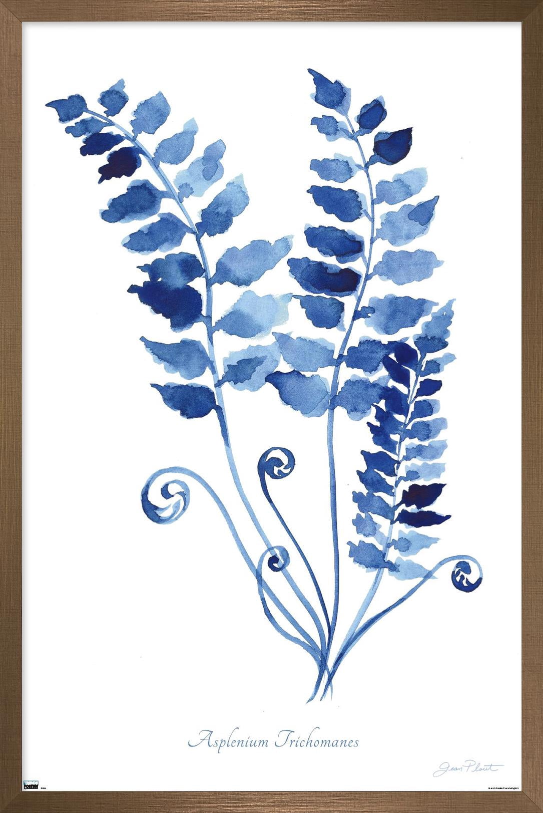 Jean Plout - Indigo Botanical Asplenium Trichomanes Wall Poster, 22.375" x 34" Framed
