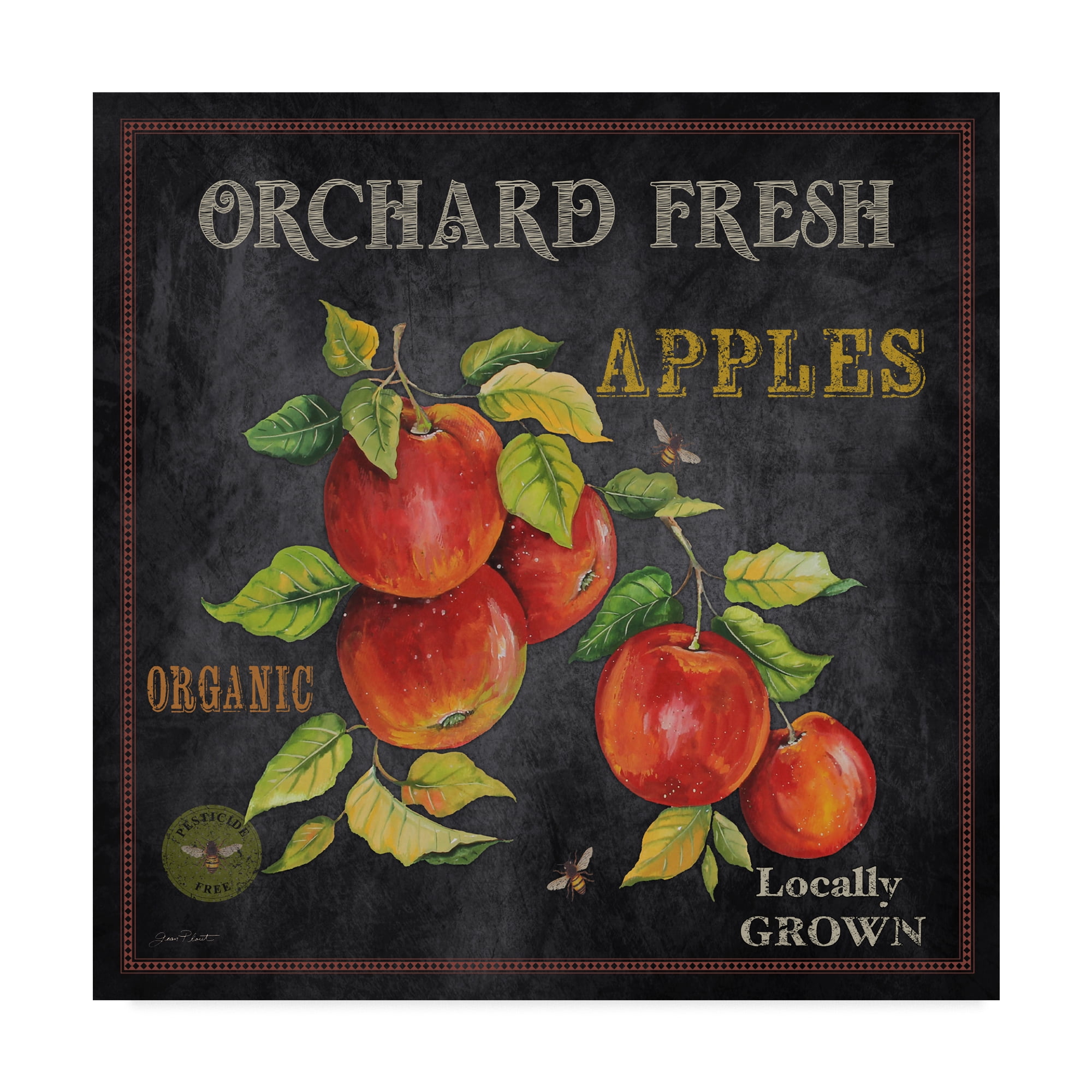 Orchard Fresh Apples Black Canvas Wall Art 14x14