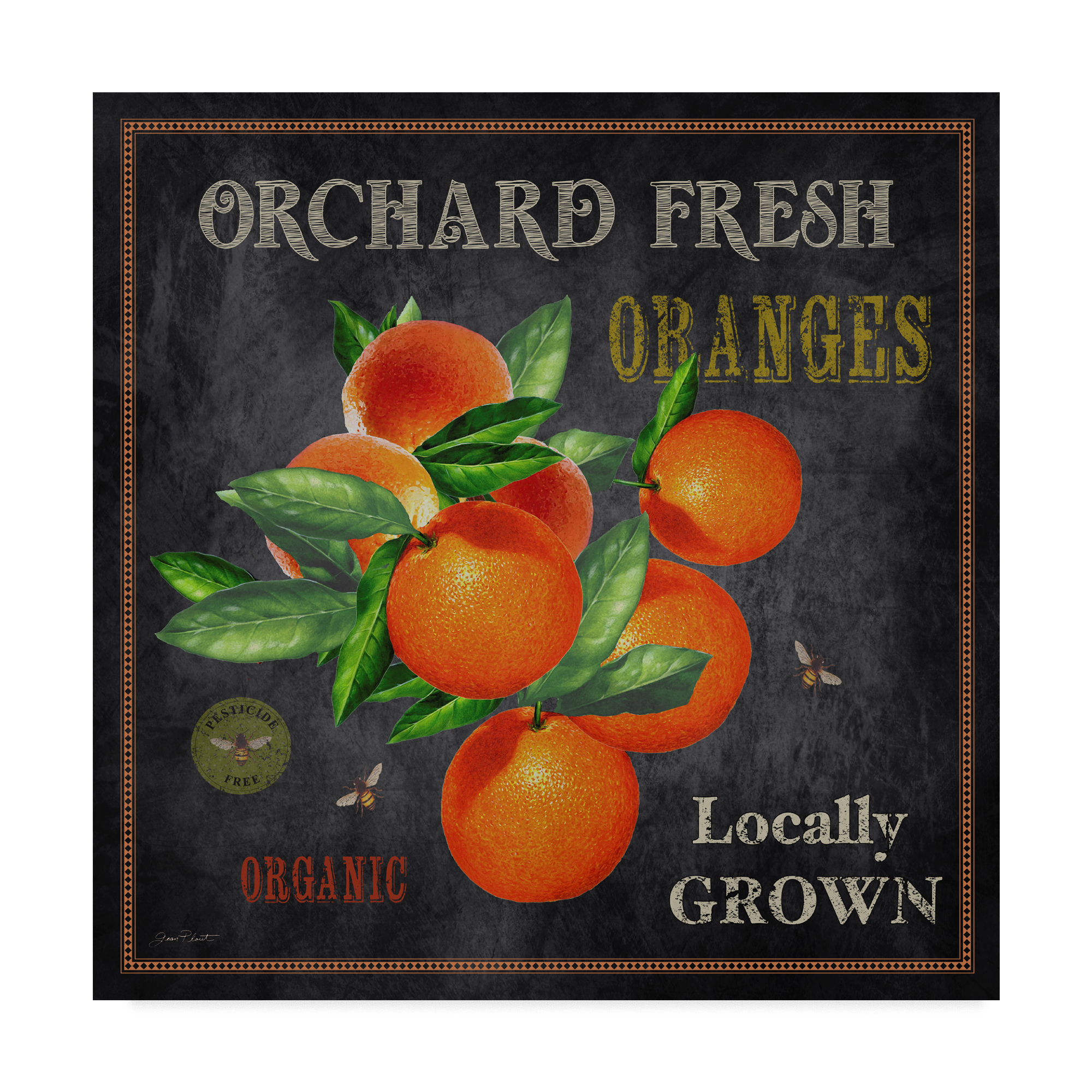 Jean Plout 'Orchard Fresh Oranges' Canvas Art