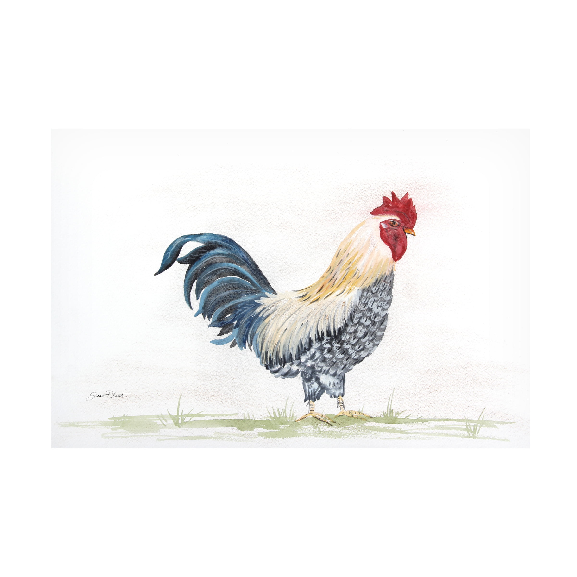 Jean Plout 'Rooster In Watercolor' Canvas Art