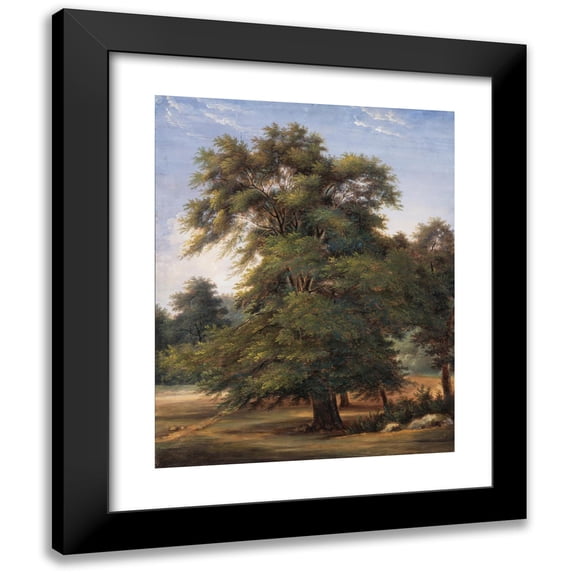 Jean-Victor Bertin 20x24 Black Modern Framed Museum Art Print Titled - Study of a Tree (circa 1800-1805)