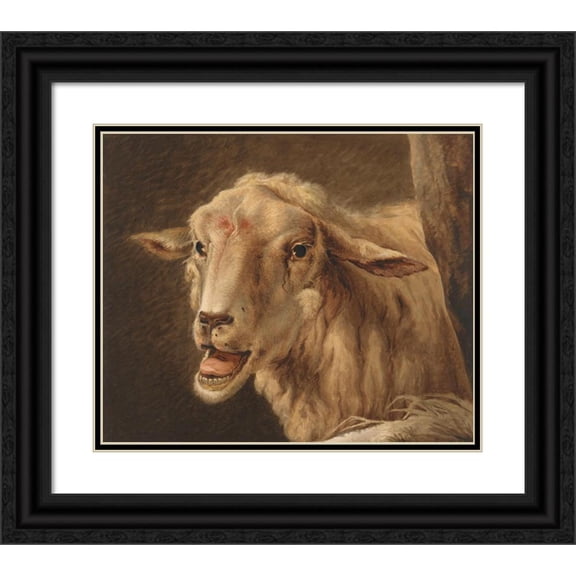 Jean Zacherie Mazel 17x15 Black Ornate Wood Framed Double Matted Museum Art Print Titled - Schaapkop, After Andries Vermeulen (1808)