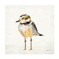thumbnail image 1 of Jeanette Vertentes 'Coastal Plover II Linen' Canvas Art, 1 of 4