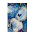 thumbnail image 1 of Jeanette Vertentes 'Matunuck Shells' Canvas Art, 1 of 4