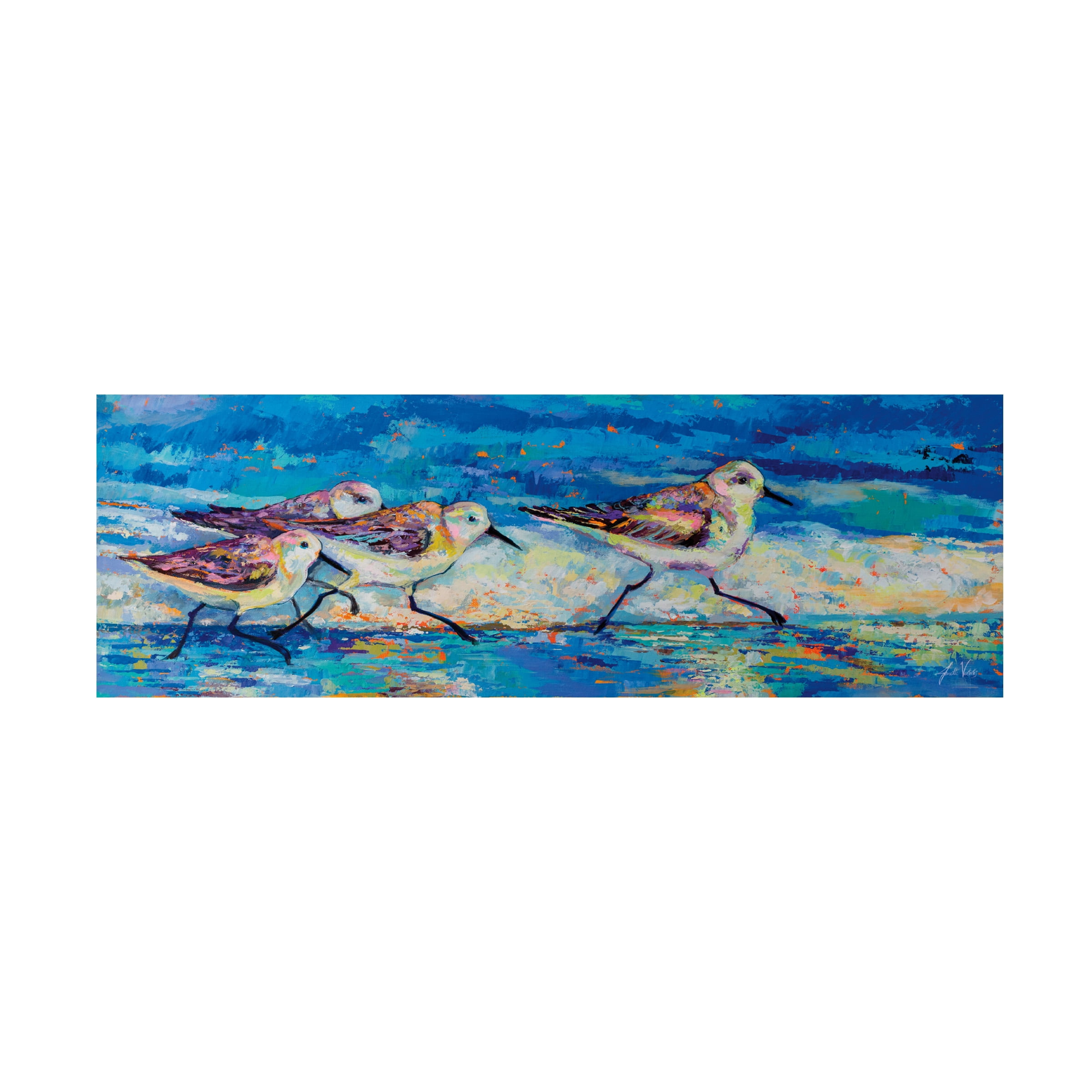 Jeanette Vertentes 'Racing Plovers' Canvas Art