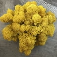 thumbnail image 1 of JeashCHAT Artificial Green Plant Immortal Fake Flower Moss Grass For Home Living Room Decorative Wall DIY Flower Mini Colorful Accessories, 1 of 2
