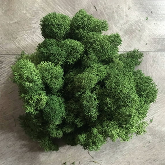 JeashCHAT Artificial Green Plant Immortal Fake Flower Moss Grass For Home Living Room Decorative Wall DIY Flower Mini Colorful Accessories Clearance
