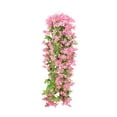 thumbnail image 1 of JeashCHAT Artificial Lily Hanging Flowers, Fake Silk Lilies Hanging Plant Vines for Wall Home Front Door Garden Patio Outdoor Wedding Decoration, Pink, 1 of 6
