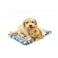 thumbnail image 1 of JeashCHAT Calming Cat Blanket Cat Bed Dog Crate Pad Ultra Soft Pet Pad with Cute Star Print, Comfortable Washable Thickened Warm Non-Slip Pet Mat on , 12.6"x10", 1 of 9