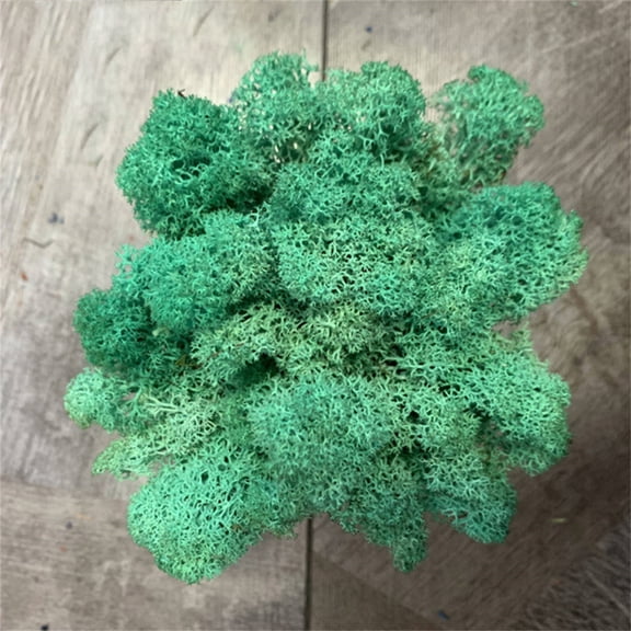 JeashCHAT Artificial Green Moss for Fairy Gardens, Terrariums, Any Craft or Floral Project or Wedding Other Arts, Green Plant Immortal Fake Flower Moss Grass, DIY Bonsai Decoration