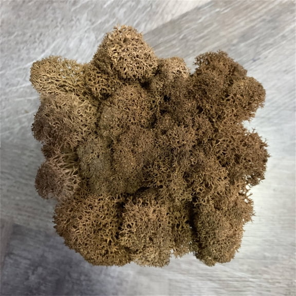 JeashCHAT Artificial Green Moss for Fairy Gardens, Terrariums, Any Craft or Floral Project or Wedding Other Arts, Green Plant Immortal Fake Flower Moss Grass, DIY Bonsai Decoration