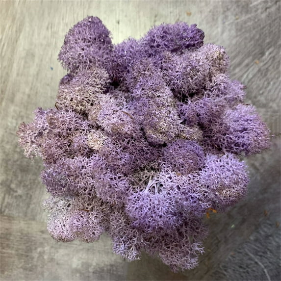 JeashCHAT Artificial Green Moss for Fairy Gardens, Terrariums, Any Craft or Floral Project or Wedding Other Arts, Green Plant Immortal Fake Flower Moss Grass, DIY Bonsai Decoration