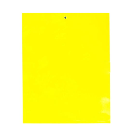JeashCHAT Dual-Sided Yellow Sticky Traps 20 Sheets For Capture Like, Gnats
