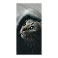 thumbnail image 1 of JeashCHAT Microfiber Beach Towel , 30"x60" Cute Animals Graphic Beach & Pool Towel, Extra Large Sandproof Quick Dry Beach Blanket, Extra Large Bath Towel for Adults Men Women, 1 of 4