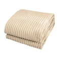 thumbnail image 1 of JeashCHAT Vertical Stripe Textured Throw Blanket , Warm Comfy, Super Soft Lightweight Blanket for Couch Bed Sofa Travel (39x59inch, Beige), 1 of 1