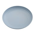 thumbnail image 1 of JeashCHAT Wheat Straw Plates Plastic Dinner Plates Lightweight Reusable Dessert Plate Fruit Plate Snack Plate 5.9 inch Round Small Plates for Kitchen, Dishwasher and Microwave Safe, Blue, 1 of 6