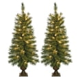 thumbnail image 1 of Jeco 3.5' Artificial Christmas Tree With Plastic Pot Stand (Set of 2), 1 of 8