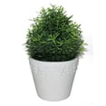 thumbnail image 1 of Jeco HD-BT009 7 in. Artificial Topiary Tree, 1 of 2