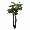 thumbnail image 1 of Jeco HD-BT159 86 in. Philodendra Tree, 1 of 2