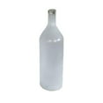 thumbnail image 1 of Jeco HD-HAGJ004 19 in. Paralus Frosted Glass Decorative Vase, 1 of 2
