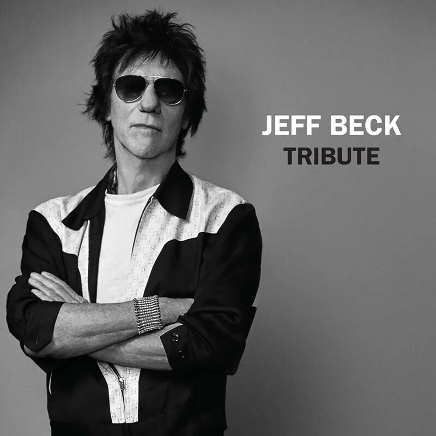 Jeff Beck - Tribute (RSD 2023) - Vinyl LP - Walmart.com