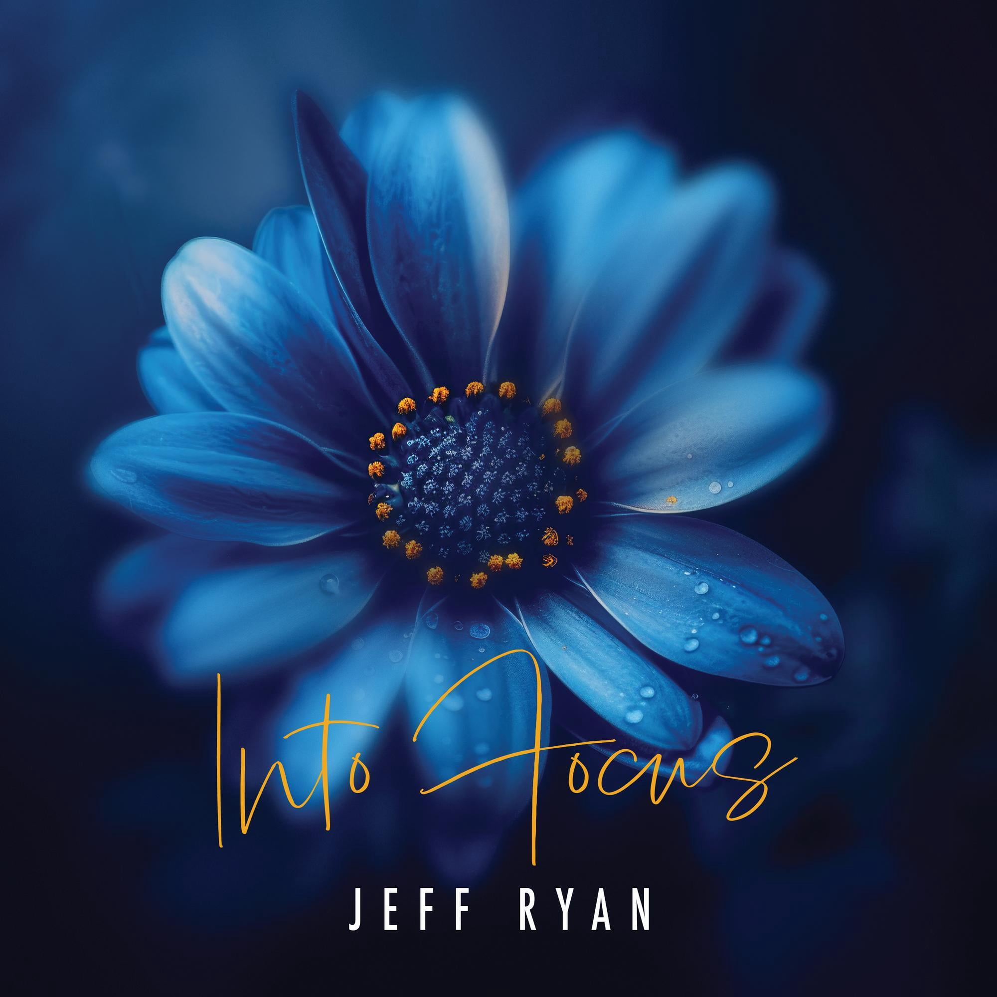 Jeff Ryan - Into Focus - Music & Performance - CD - Walmart.com