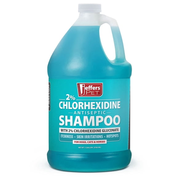 Jeffers 2% Chlorhexidine Antiseptic Shampoo for Dogs, Cats & Horses, 128 oz