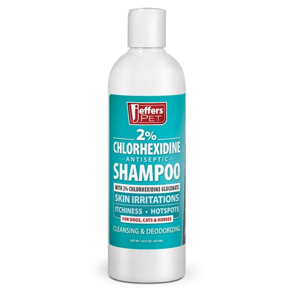 Jeffers 2% Chlorhexidine Antiseptic Shampoo for Dogs, Cats & Horses, 16 oz