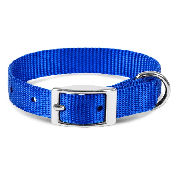 Jeffers Solid Web Nylon Dog Collar with Nickel Plated Hardware, 5/8"Wx10"L - Adjustable Durable Nylon Pet Collar for Small to Medium Dog, Perfect for Walking, Training, Travel, & Outdoor - Royal Blue