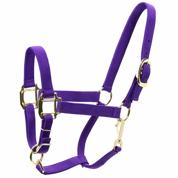 Jeffers Equine Horse Halter w/ Throat Snap, Purple -Durable 3 Ply Nylon, Adjustable Chin Strap, Durable Hardware, Comfortable Fit, Equestrian Tack for Training, Grooming, Leading - Arabian 500-800lb