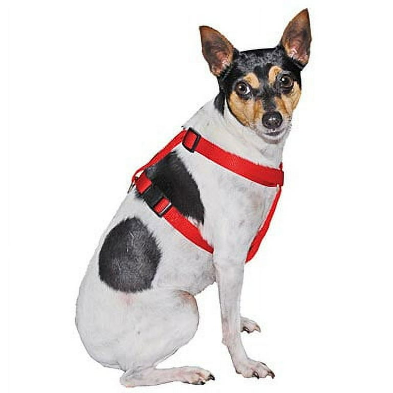 Jeffers Adjustable Nylon Dog Harnesses with Plastic Buckles 5 8 in. x 14 20 in. Black Walmart