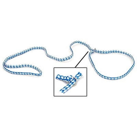 Jeffers Pet Animal Control Dog Leads, 6 Ft Slip Rope Leash, Safe Durable Braided Poly Rope with Nickel Ring, Lightweight Training Lead for Travel, Rescue, Kennel, House & Walking - Light Blue