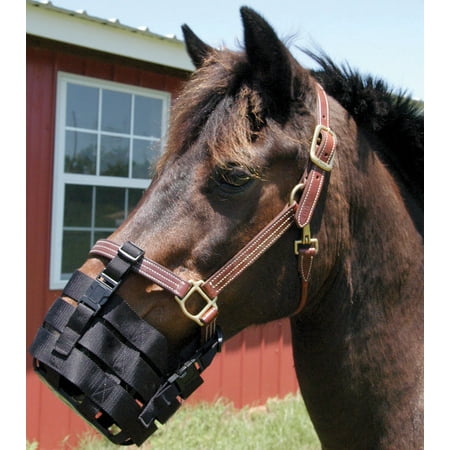 Perri's Pony Nylon Anti-Grazing Muzzle, Black,