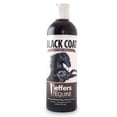 thumbnail image 1 of Jeffers Equine Black Coat Shampoo for Horses, 16 oz – Enhances Black & Bay Coats, Soap & Detergent Free, Coconut Oil Formula with Aloe & Vitamin E – Deep Cleansing Horse Grooming & Show Prep, 1 of 4