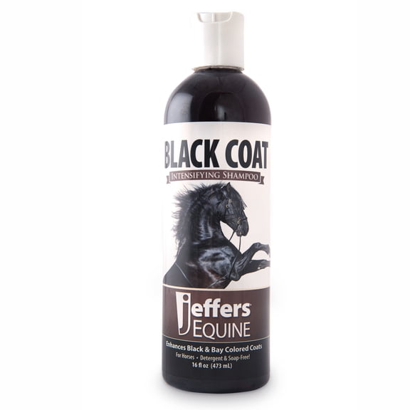 Jeffers Equine Black Coat Shampoo for Horses, 16 oz – Enhances Black & Bay Coats, Soap & Detergent Free, Coconut Oil Formula with Aloe & Vitamin E – Deep Cleansing Horse Grooming & Show Prep