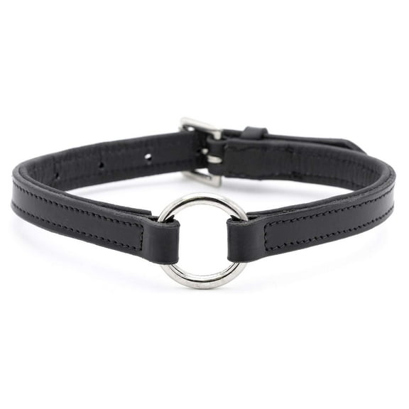 Jeffers Pet Soft Padded Black Leather Dog Collars with O-Ring & Metal Hardware, 1" x 26" - Genuine Drum Dyed Cowhide, Adjustable Leather Collar for Dogs for Walking, Training, & Outdoor Use