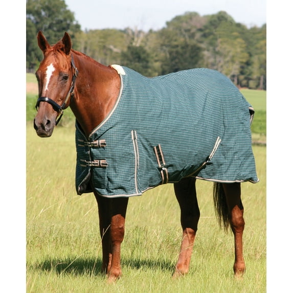 Jeffers Equine Basic Canvas Horse Blanket, 84" – Water Resistant Turnout Blanket for Horses, Pony, Draft – Breathable, Adjustable Straps, Tail Flap, Shoulder Gussets, Barn Gear - Green Tan Check