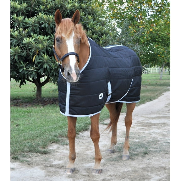 Jeffers Equine Closed Front Horse Stable Blanket, 72 Inch – Warm Insulated Stall & Barn Layer, Lightweight Polyfill Winter Blanket for Horses, Indoor Use, Travel, Grooming – Black Silver