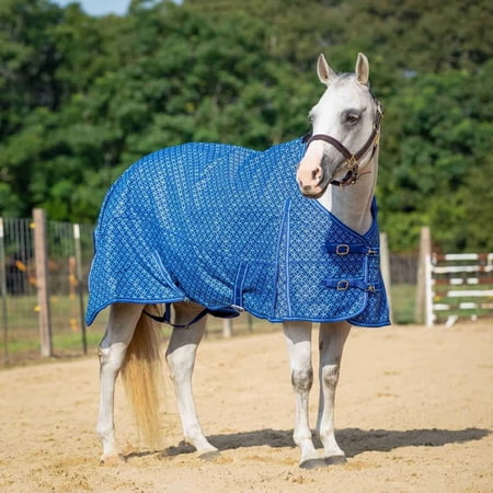Jeffers Economy Medium Weight Turnout Blanket | Blue Lattice | 72 Inches