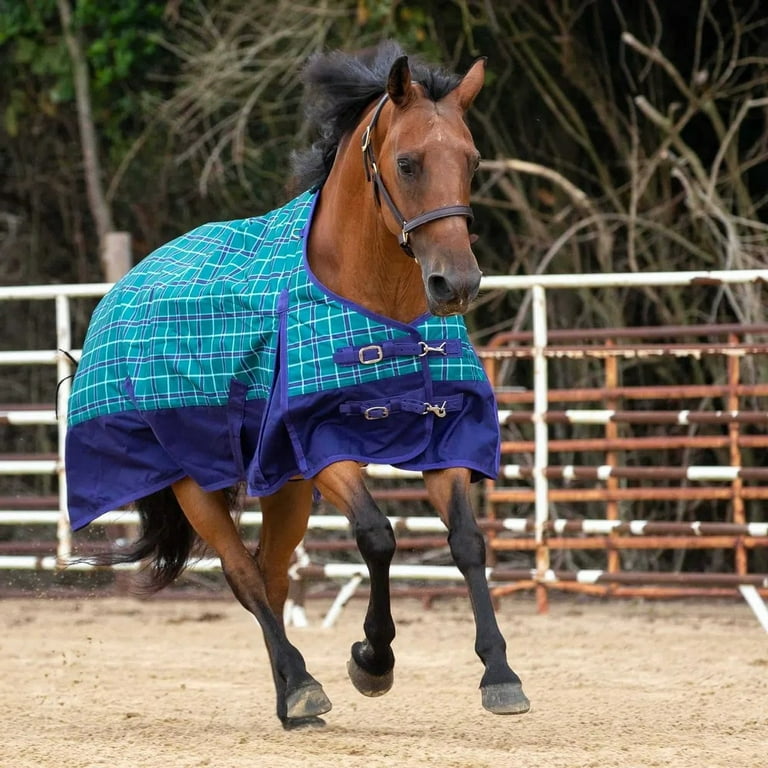 Jeffers top horse blankets
