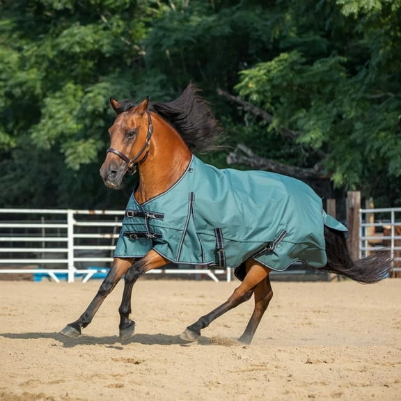 Jeffers Economy Plus Turnout Sheet | Sage Green | Size: 69 in