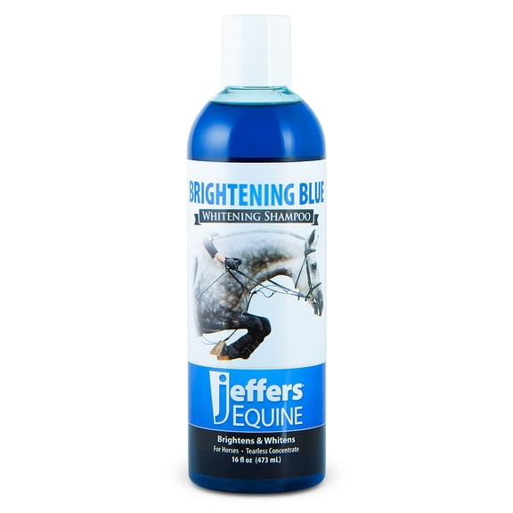 Jeffers Equine Brightening Blue Whitening Horse Shampoo, 16oz  – Soap Free, Detergent Free Grooming Shampoo for Coat, Mane & Tail, Removes Tough Stains, Enhances Shine, Safe for White & Light Coats
