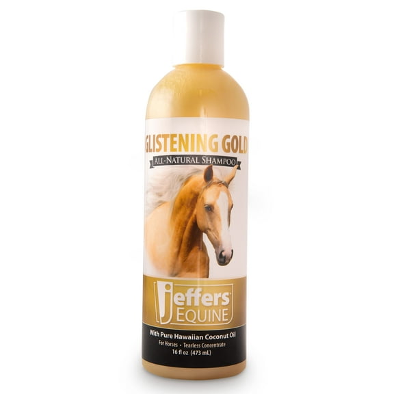 Jeffers Equine Glistening Gold Tearless Horse Shampoo 16 oz – All Natural Coconut Oil & Vitamin E, pH Balanced, Soap Free, Detergent Free, Mane, Coat, Show Horses, Grooming, Barn Care
