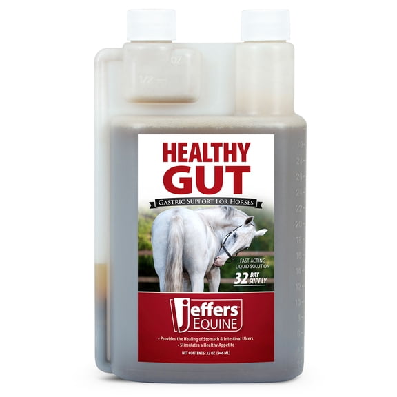 Jeffers Equine Healthy Gut Gastric Support – Liquid Digestive Supplement for Horses Prone to Ulcers , Easy to Feed Formula, Supports Gut Comfort & Balanced Digestion – 32 oz (32 Day Supply)