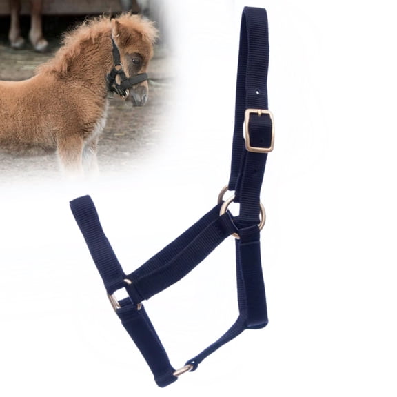 Jeffers Equine Mini Horse Halter – 3/4" Nylon Adjustable Halter for Miniature Horses, Ponies, Under 200 lbs – Heavy Duty Hardware, Secure Fit for Training, Turnout, Grooming, Travel – Black