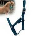 thumbnail image 1 of Jeffers Nylon Adult Miniature Horse Halter| Adult | Under 300 lb | Dark Green, 1 of 4