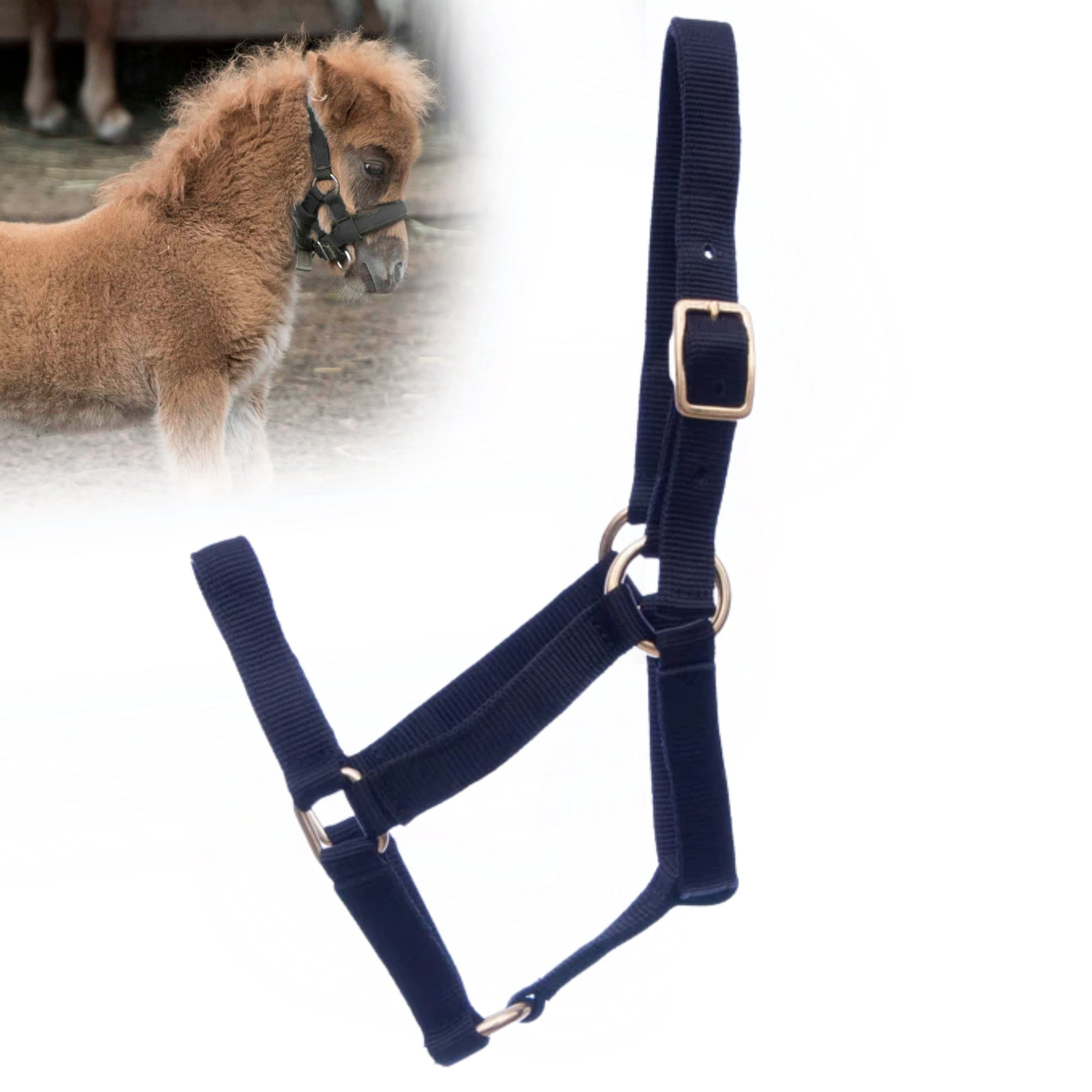 Jeffers Equine Miniature Nylon Horse Halter, Black - Mini Yearling ...