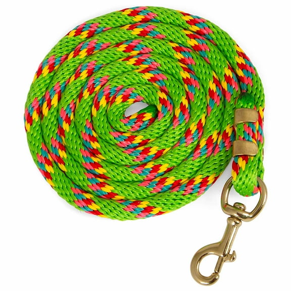 Jeffers Equine Nylon Horse Lead Rope with Brass Snap, 5/8 x 8"- Light Green