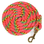 Jeffers Equine Nylon Horse Lead Rope with Brass Snap, 5/8 x 8" - Pink